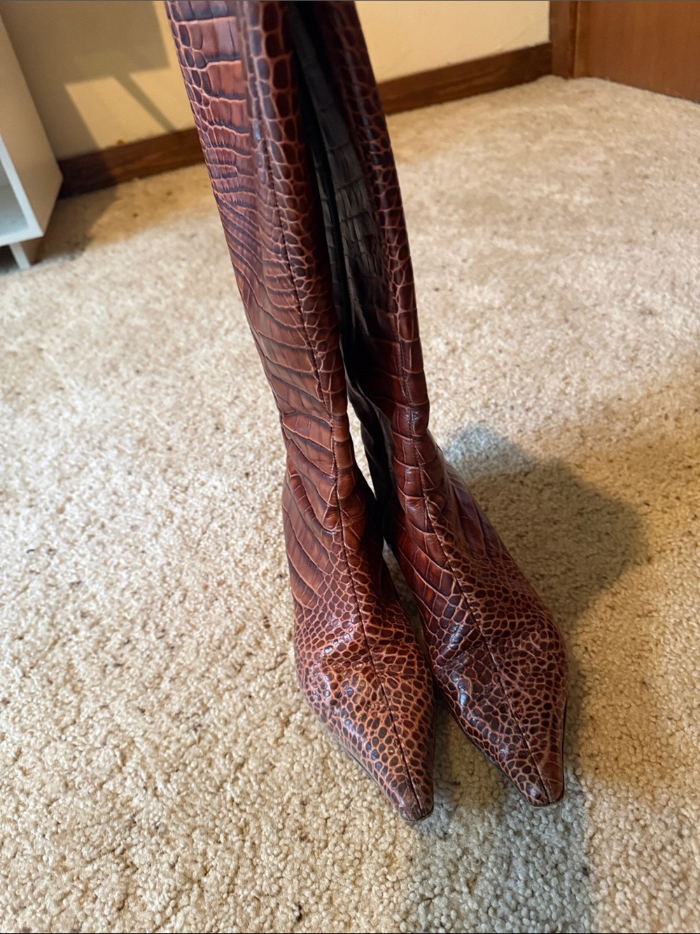 Brown Croc-Embossed Pointed-Toe Women's Boots
